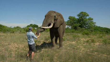 Freeks Wilde Wereld | Het geheim van de olifant